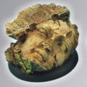 Scibor Bases