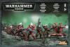 Eldar Guardians 1