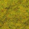 Battlefields: Field Grass 1