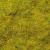 Battlefields: Field Grass