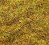 Battlefields: Steppe Grass 1