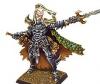 Dark Elf Hero 1