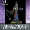Wraiths (5 Elites) 1