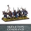 Undead Skeleton Command (10) 1