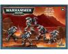 Grey Knights  1