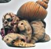 Chaos Snail #5 1