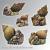 Chaos Snails set (5)