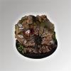 Chicken Hunter 50mm Base  1