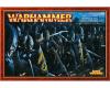 Dark Elf Warriors 1