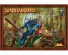 Lizardmen Cold One Riders 1