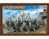 Night Goblin Regiment 1