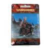 Vampire Counts Wight King 1