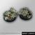 Templar Ruins 40mm round Bases set2