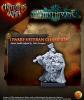 Dwarf Veteran Champion 1