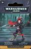 Dark Eldar Succubus 1