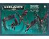 Dark Eldar Scourges 1