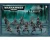 Dark Eldar Wyches 1